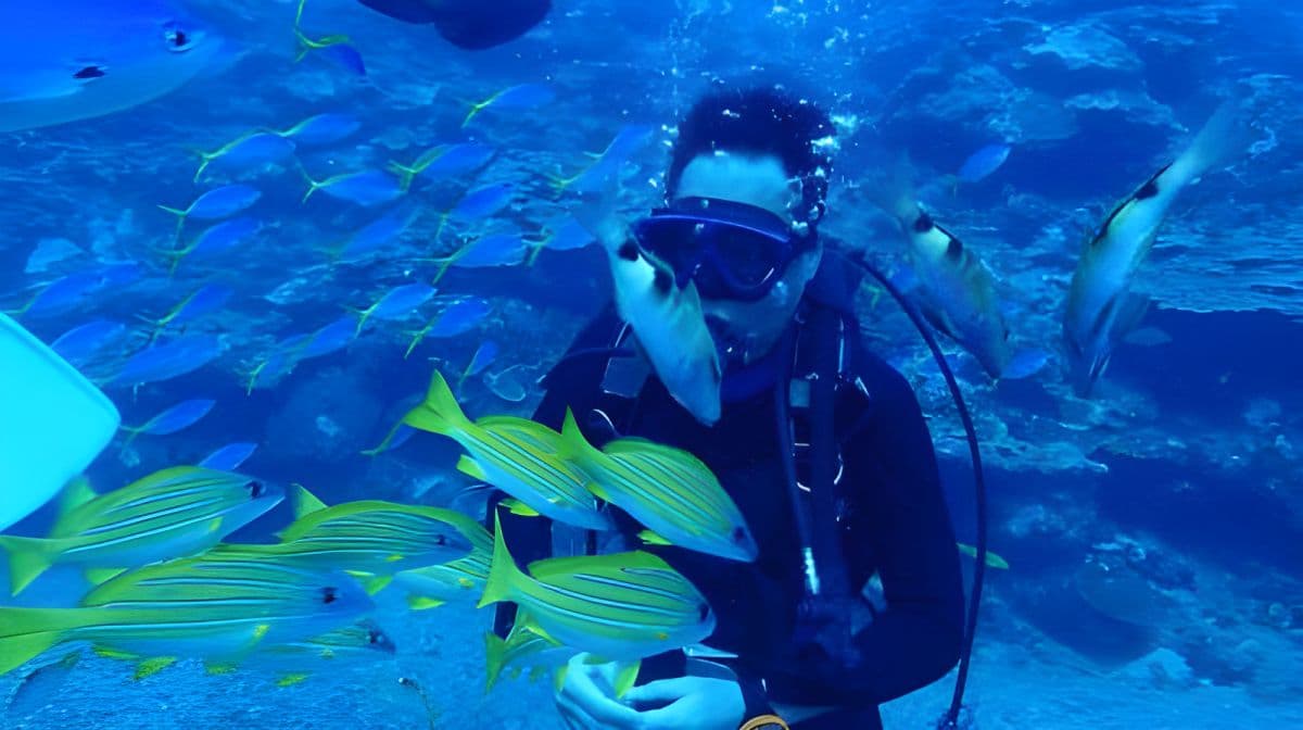 Taitung Orchid Island Experience diving スキューバダイビング 2時間 [ライセンス不要 | Orchid Island Experience divingツアー | プロのインストラクター、機材、保険、水中写真撮影込み]