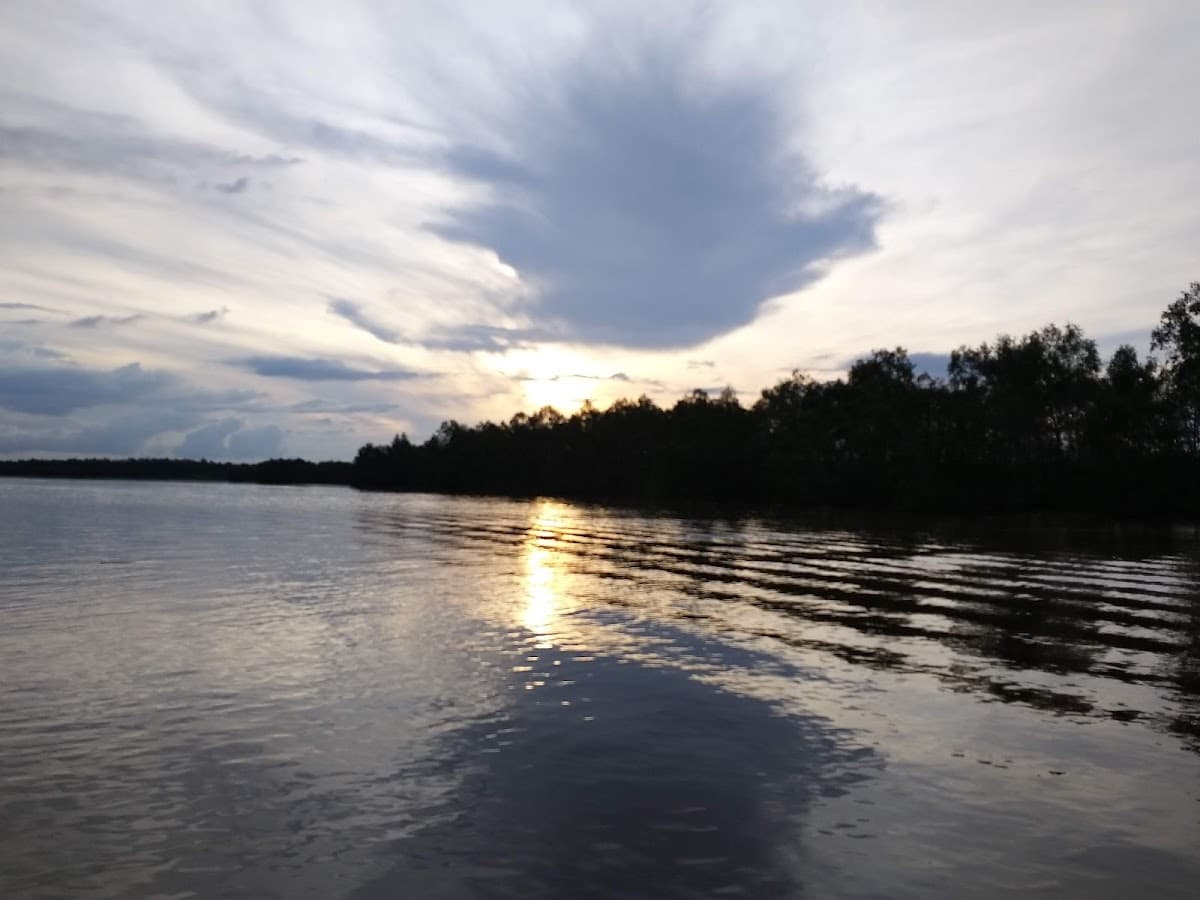 Weston Wetland River Cruise Day Tour (Proboscis Monkey & Fireflies)