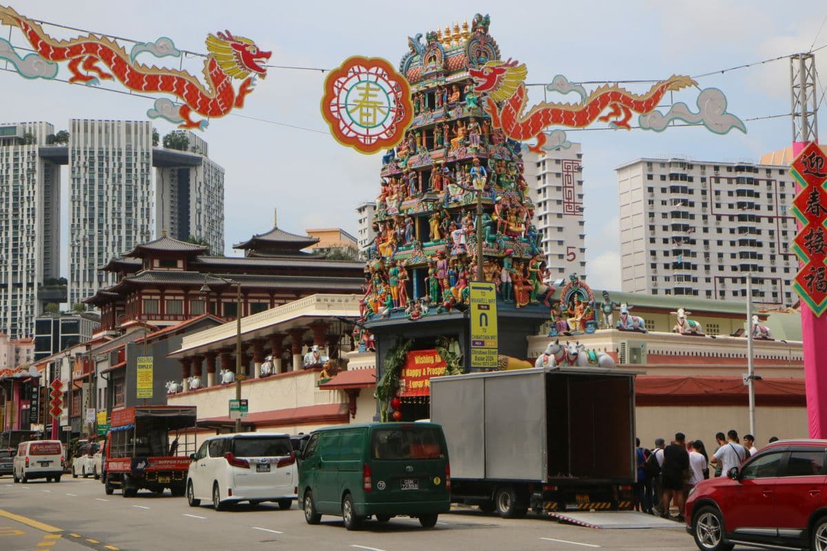 Singapore Signature Guided Tour (Chinatown & Botanic Garden)