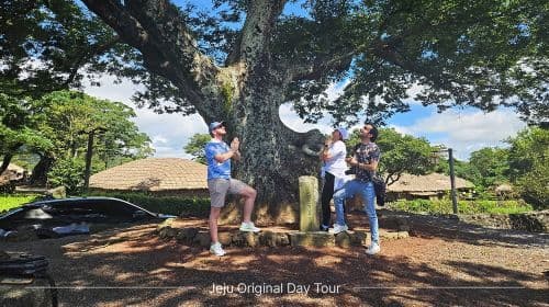 Jeju's eerste Engelstalige bustour sinds 2008 voor de East Course