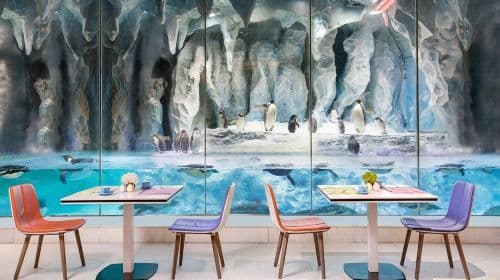 Buffet breakfast/lunch/dinner at Emperor Penguin Restaurant in Zhuhai Chimelong Ocean Kingdom Resort Penguin Hotel