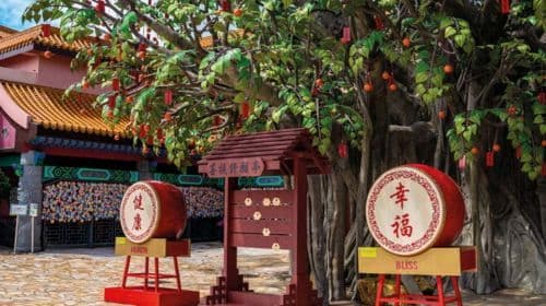 Explore Tai O Fishing Village on Lantau Island: Enjoy the Tian Tan Buddha via the Cable Car Express, with round-trip city transfers Day Tours