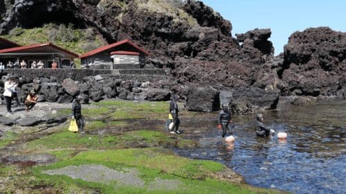 Jeju: Eastern Jeju UNESCO Spots Day Tour Day Tours
