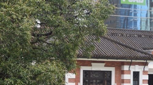 Hong Kong Strolling through Central - Star Ferry Ferris Wheel Man Mo Temple Open Top bus one-day tour Exquisite Small Group Day Tours