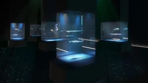 [Special] Singapore Oceanarium