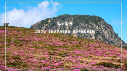 Jeju: Southern Top UNESCO Spots Tour Day Tours