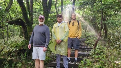 Jeju: Southern Top UNESCO Spots Tour Dagtochten
