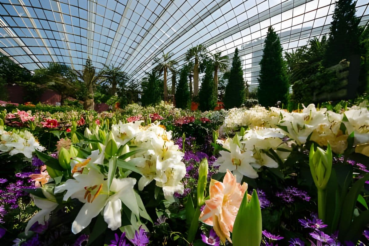 Singapore: Gardens and Satay by The Bay Private Guided Tour
