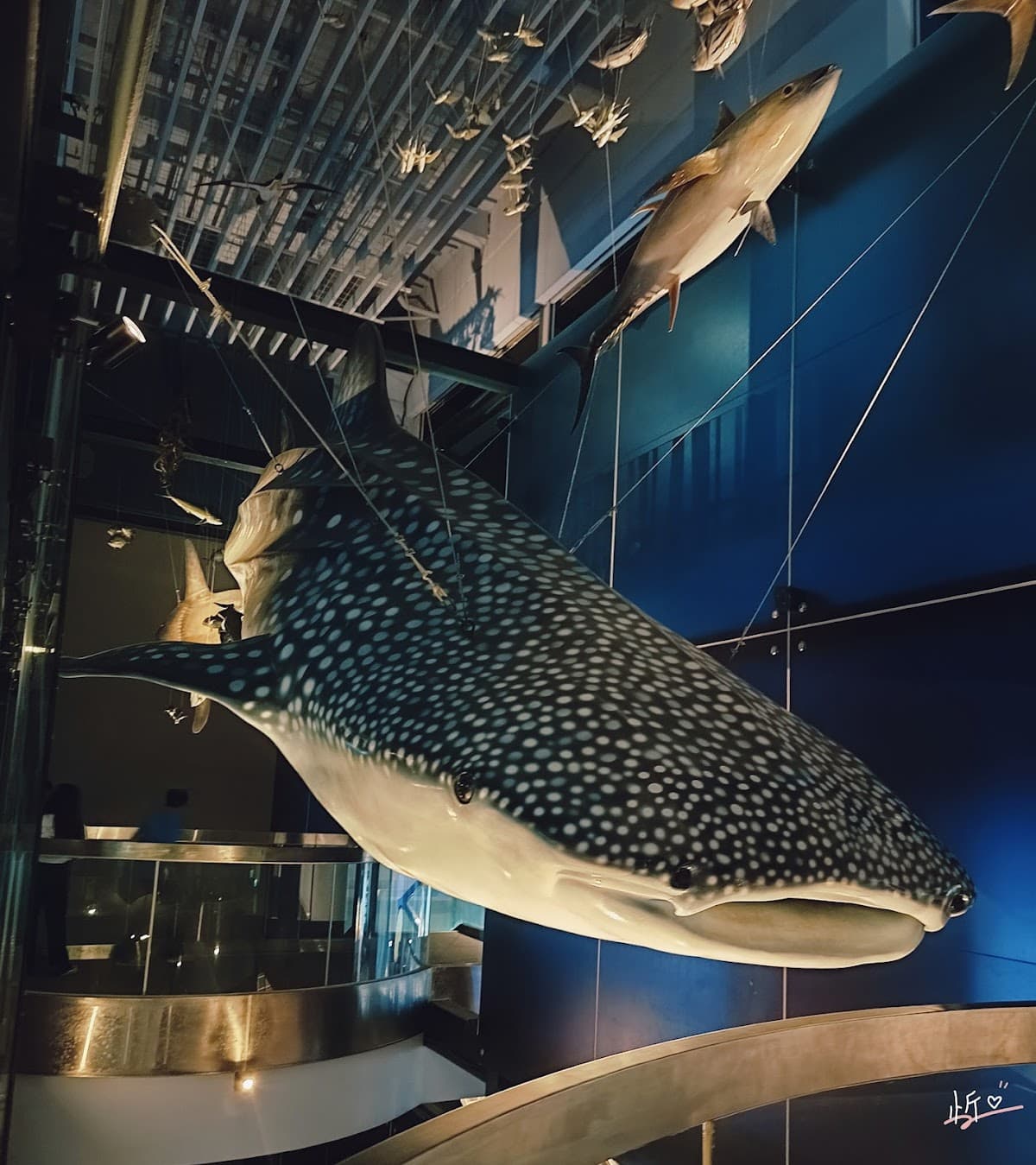 National Museum of Marine Science and Technology