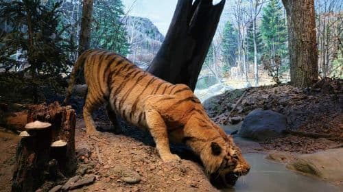 National Museum of Natural Science