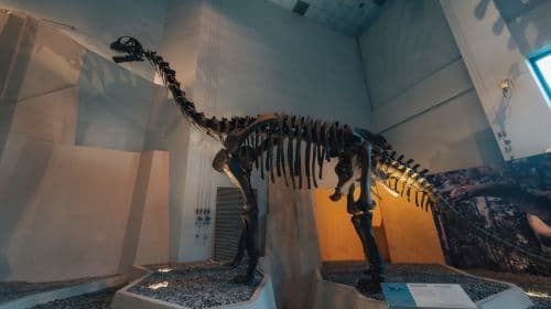 National Museum of Natural Science