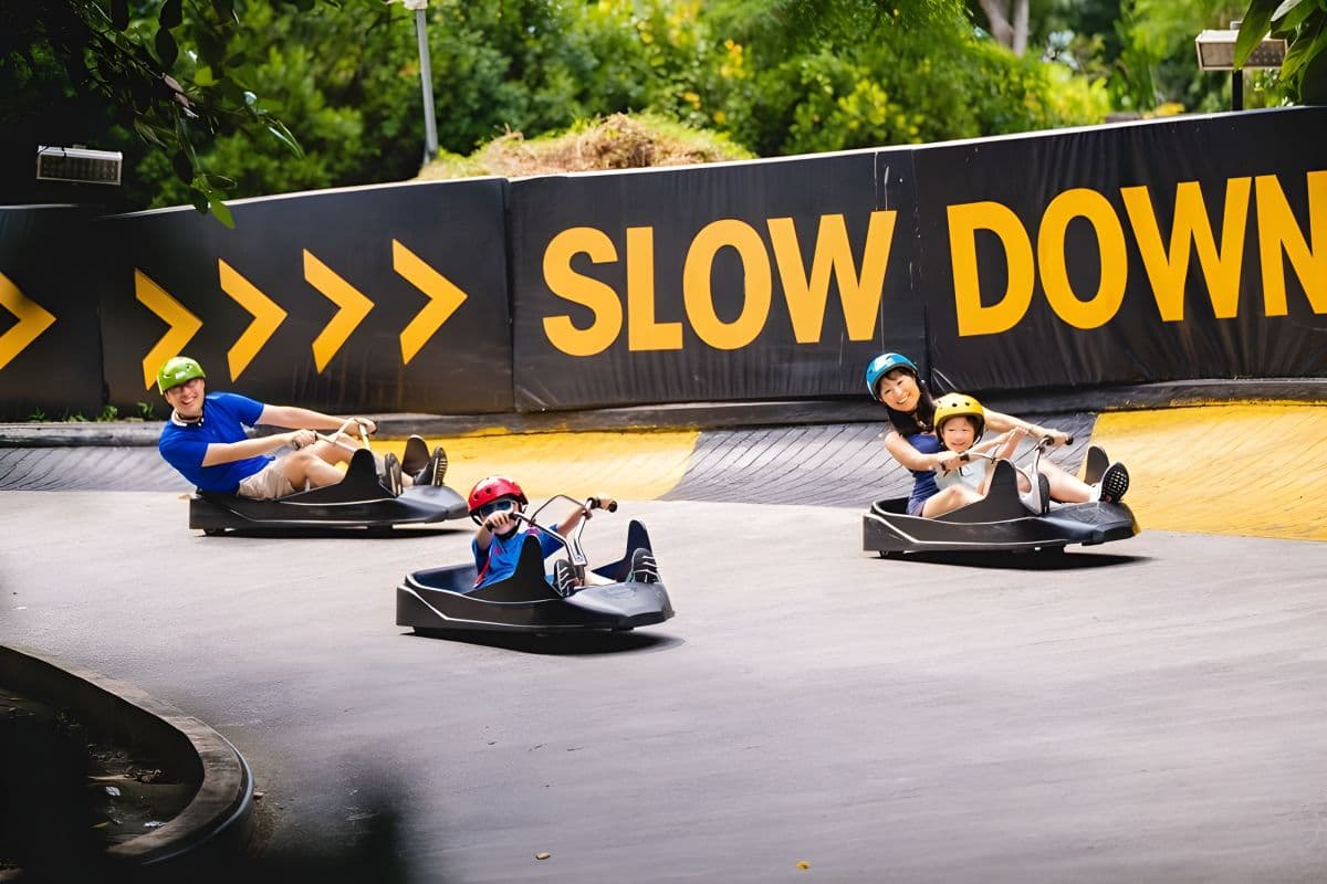 Skyline Luge Singapore 新加坡斜坡滑车与空中吊椅