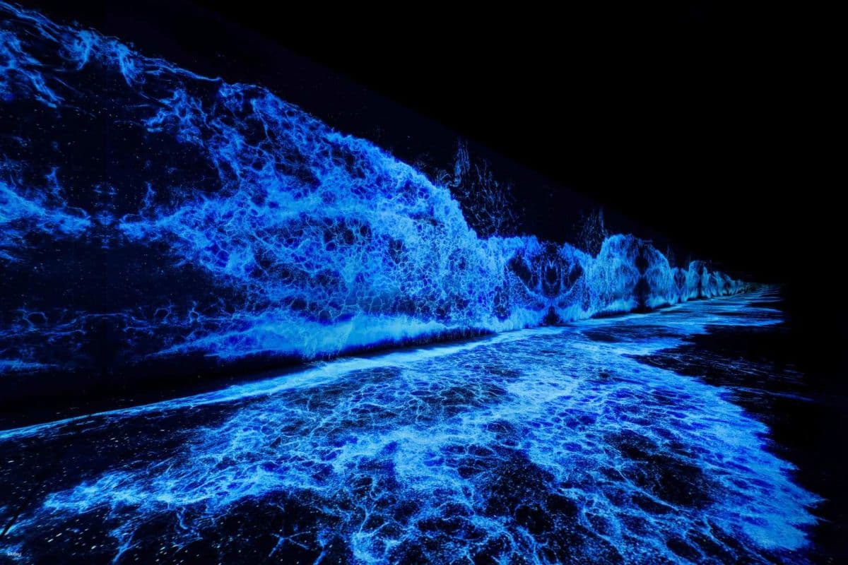 【K11-HACC】ARTE M HONG KONG Admission Ticket