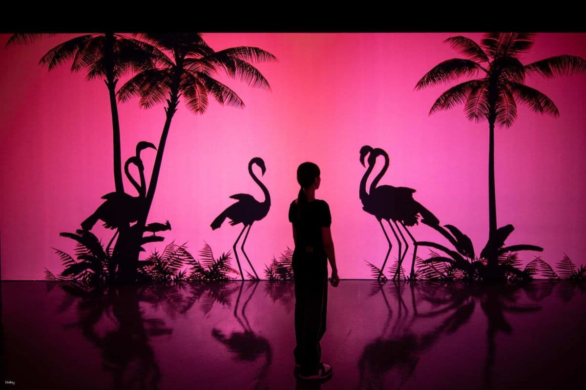 【K11-HACC】ARTE M HONG KONG Admission Ticket