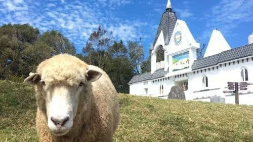 one-day tour to Cingjing Farm [Depart from Taichung City Hotel] Day Tours