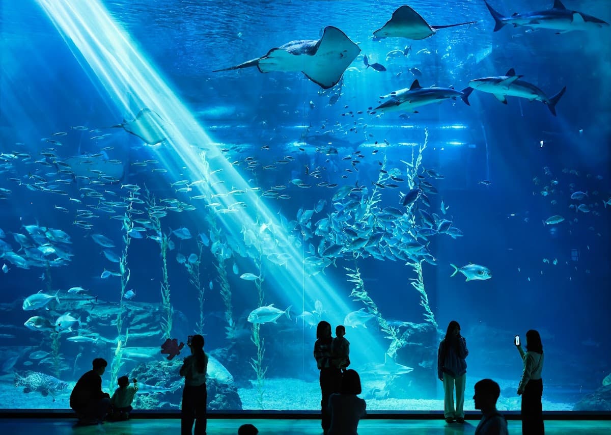 Aqua Planet Jeju
