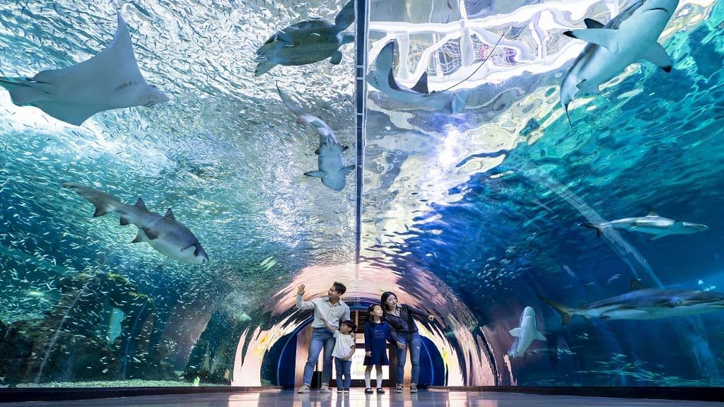 Aqua Planet Jeju