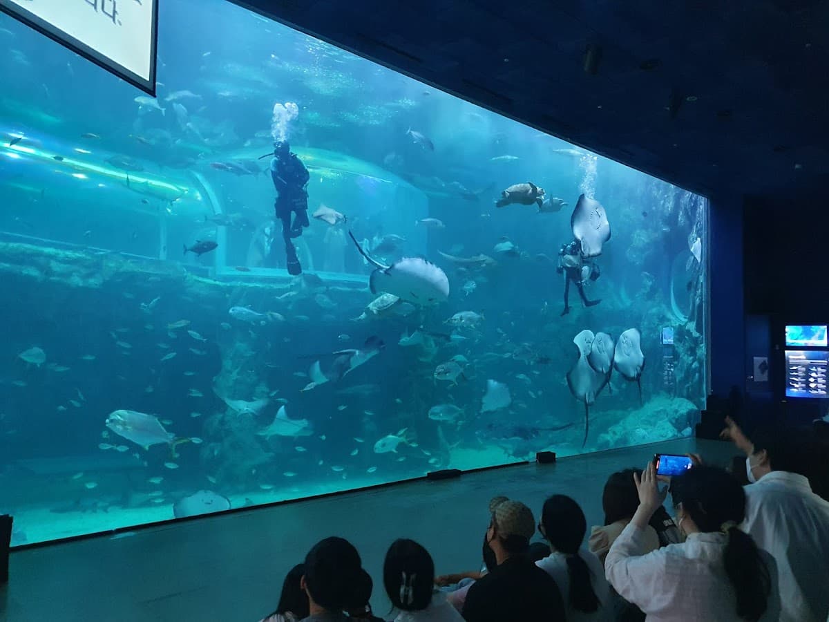 Aqua Planet Yeosu