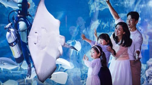 Aqua Planet, Gwanggyo