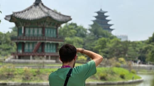 Melhor Tour pela Cidade de Seul (Palácio Gyeongbokgung, Insadong, Namsan Tower) Tours de um Dia
