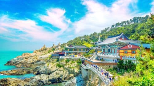 Busan 1-day tour in Korea | Sky Capsule/Beach Train/Danubi | Multiple routes available Day Tours