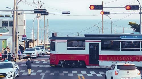 Busan classic 1-day tour (join-in tour) | Chinese/English guide available + multiple meeting points available Day Tours