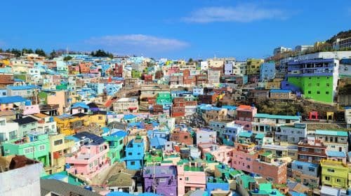 Busan Taejongdae Hydrangea X Songdo Sea cable car X Gamcheon Culture Village X Gwangalli Beach