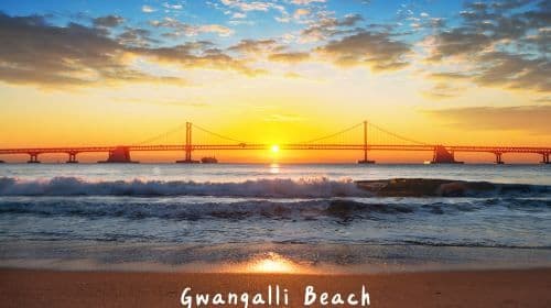 Busan Taejongdae Hydrangea X Songdo Sea cable car X Gamcheon Culture Village X Gwangalli Beach