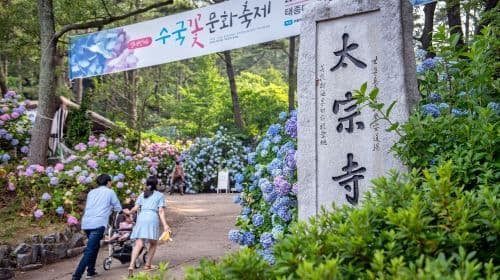 Busan Taejongdae Hydrangea X Songdo Sea cable car X Gamcheon Culture Village X Gwangalli Beach