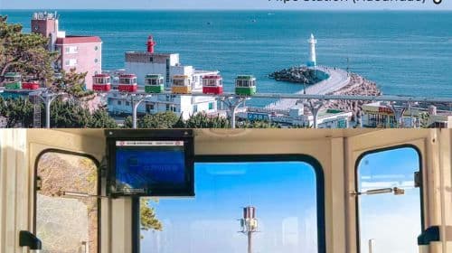 Busan, South Korea one-day tour[Haeundae Blue Line Park/Gamcheon Culture Village/Cheongsapo/Yonggungsa Temple] Day Tours