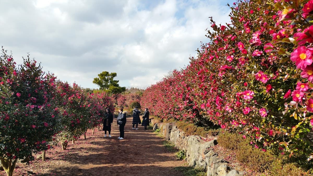 Camellia Hill Botanical Garden Admission