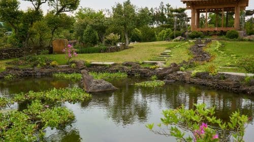 Camellia Hill Botanical Garden Admission