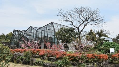 Camellia Hill Botanical Garden Admission