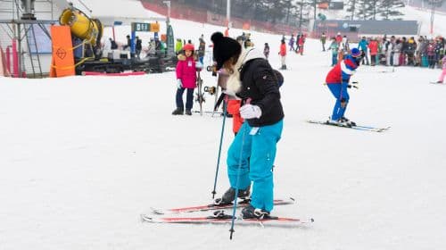 Jisan Forest Resort, South Korea [Jisan Resort Skiing/Sledding 1-day tour] Day Tours