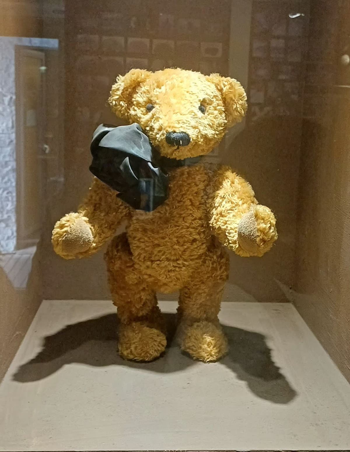 Joanne teddy bear