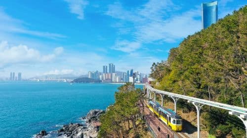 Depart from Busan|Seaside Train x Shirazan Beach Culture Village x Gamcheon Culture Village x Oryukdo Skywalk Day Tours