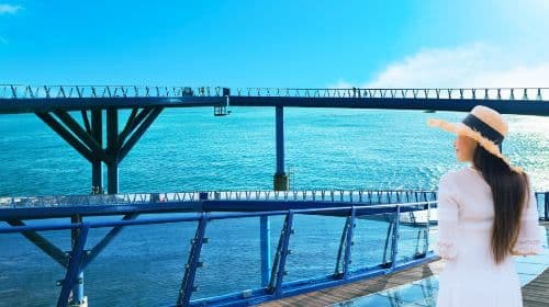 Vertrek vanuit Busan | Dagtours Seaside Train x Shirazan Beach Culture Village x Gamcheon Culture Village x Oryukdo Skywalk
