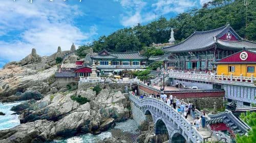 Partidas de Busan | Excursões de um dia ao Haedong Yonggung Temple X Cheongsapo Skywalk X Blue Line Park Sky Capsule X Huinnyeoul Culture Village
