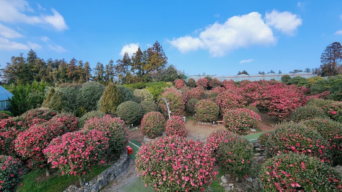 Father's Garden