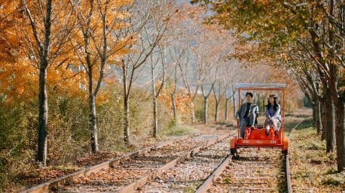 De Seul: Excursão de um dia para a Ilha Nami, Jardim Coreano e Rail Bike