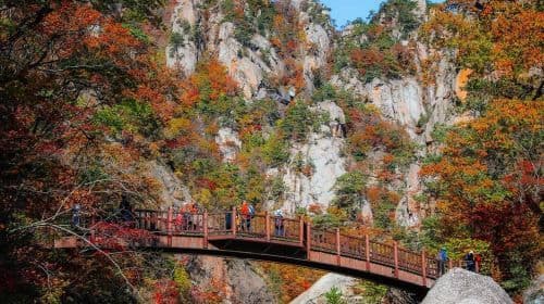 De Seul: Excursão de um dia ao Parque Nacional Seoraksan e à Ilha Nami