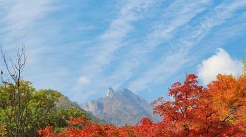De Seul: Excursão de um dia ao Parque Nacional Seoraksan e à Ilha Nami