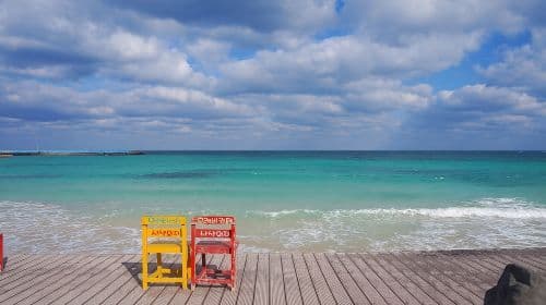 Full-Day Private Tour in Jeju Scenic East Coast