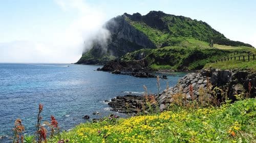 Full-Day Private Tour in Jeju Scenic East Coast
