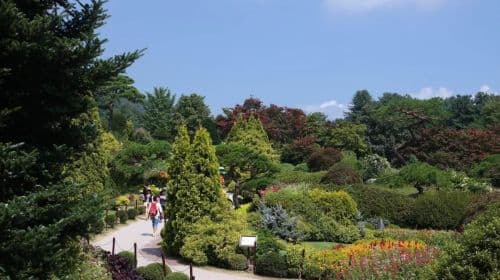 Jednodniowa wycieczka: Gangchon Railway Theme Park + Nami Island + The Garden of Morning Calm (z Seulu)