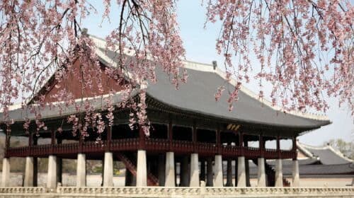Passeggiata nella Capitale Storica e Tour dello Street Food | Tour giornalieri di Gyeongbokgung Palace, Bukchon Hanok Village e Gwangjang Market