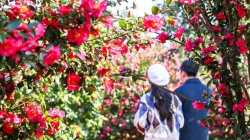 Hueree Nature Life Park