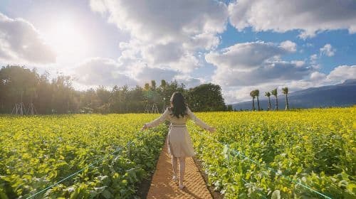 Hueree Nature Life Park