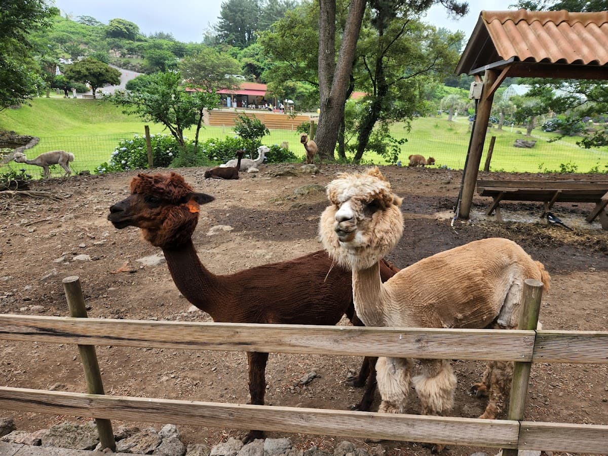 Hwajowon (Flower Bird Park) | Jeju Island, South Korea