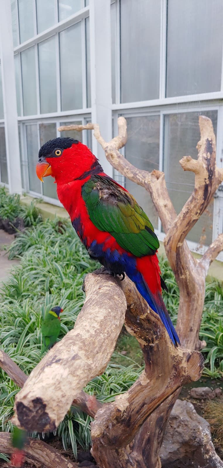 Hwajowon (Flower Bird Park) | Jeju Island, South Korea